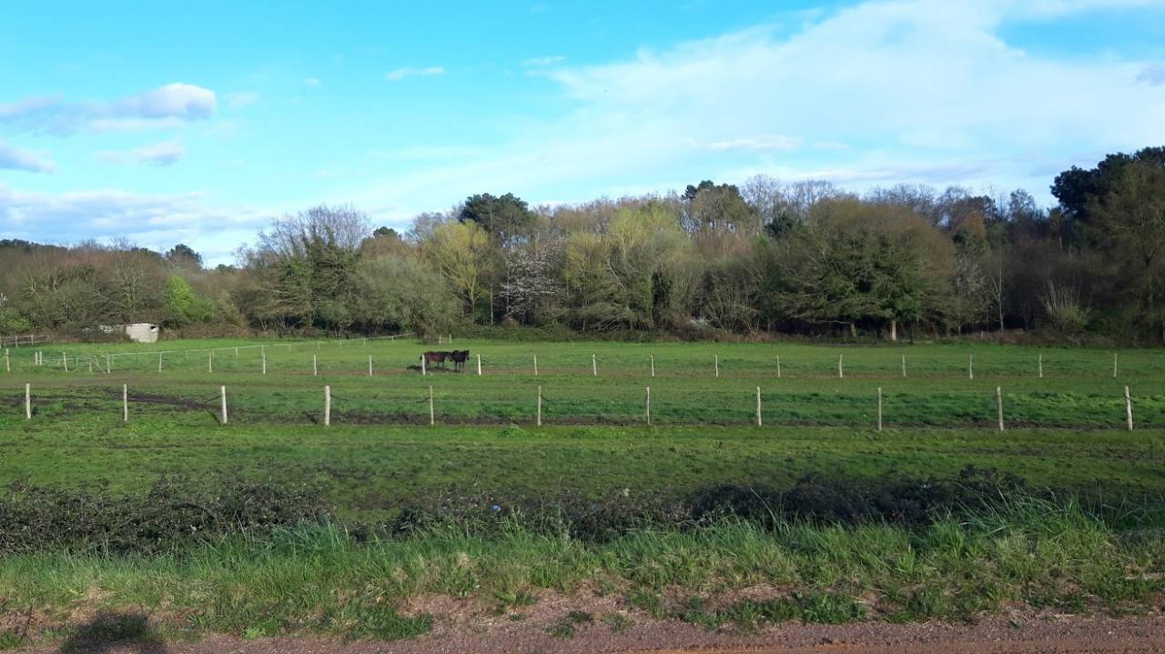 Cuadra de carrera En venta Sarthe