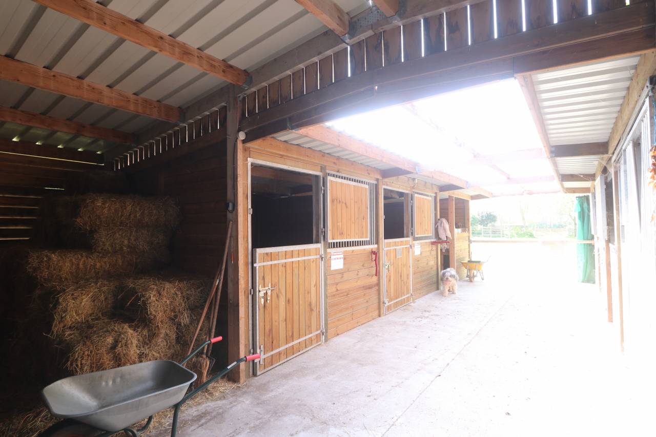 Bonita residencia ecuestre En venta Mancha