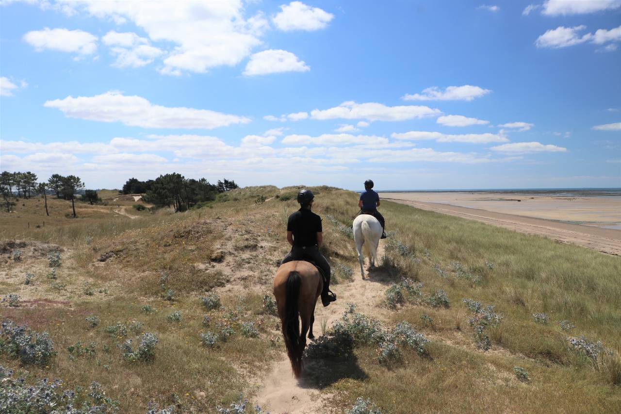 Bonita residencia ecuestre En venta Mancha