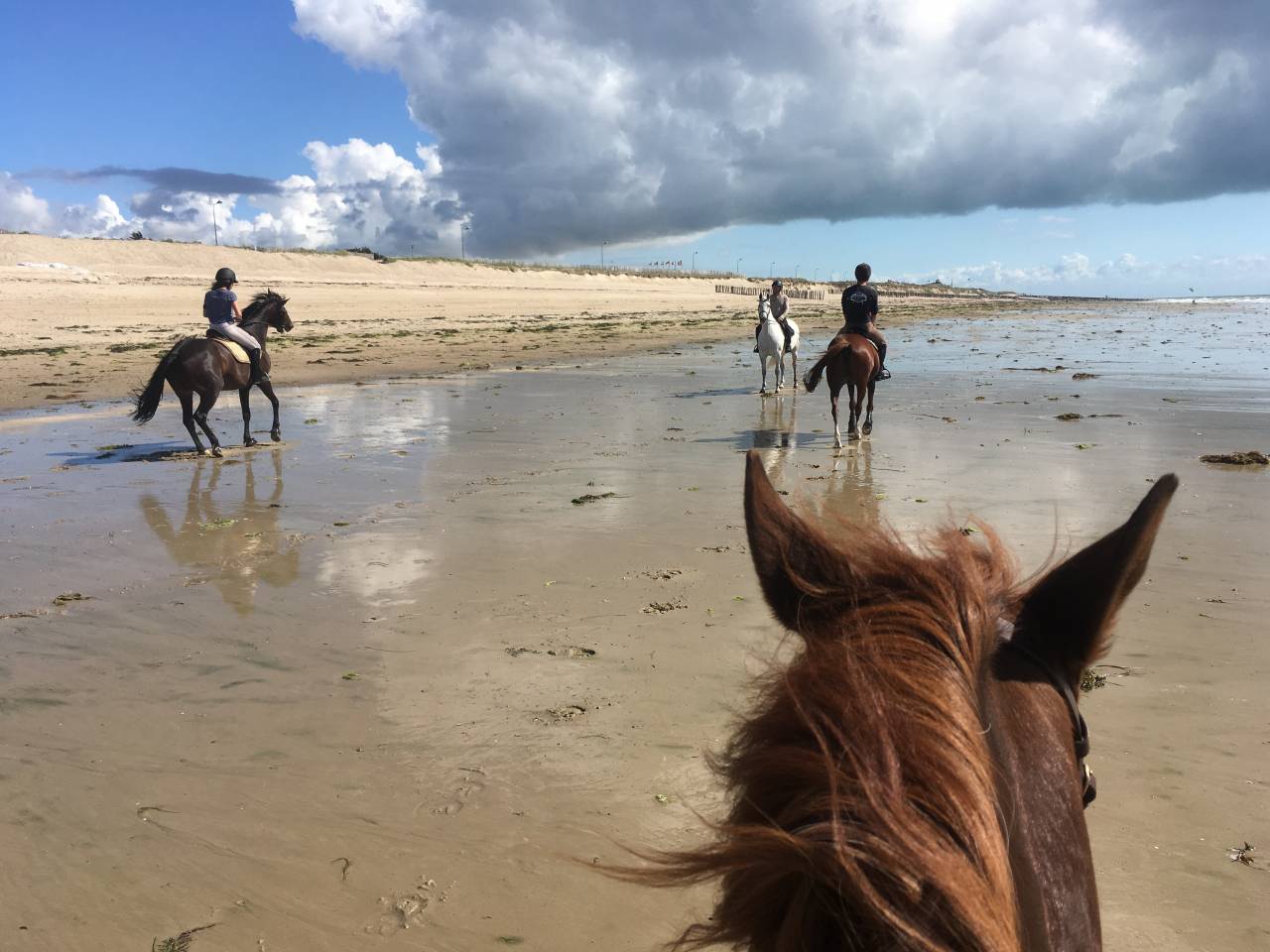 Bonita residencia ecuestre En venta Mancha