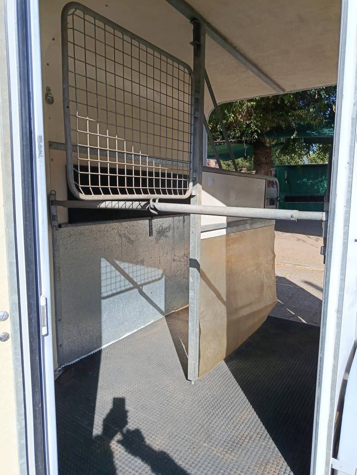 Vendo Van de fibra para 2 caballos