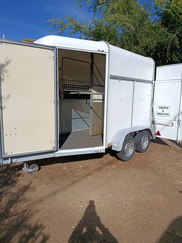 Vendo Van de fibra para 2 caballos
