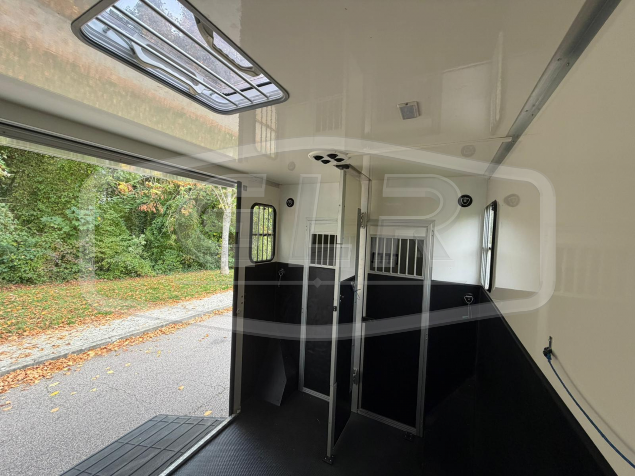 Furgoneta para caballos Les Vans ACR Renault Master 2023 De segunda mano