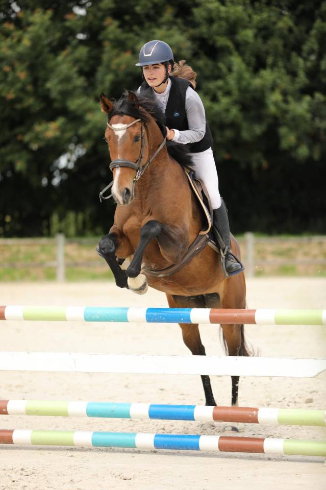 Yegua Pura Sangre En venta 2020 Bayo