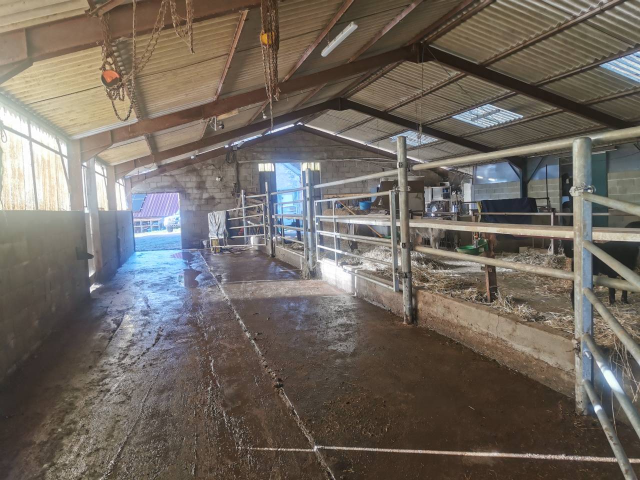 Granja ecuestre En venta Cher