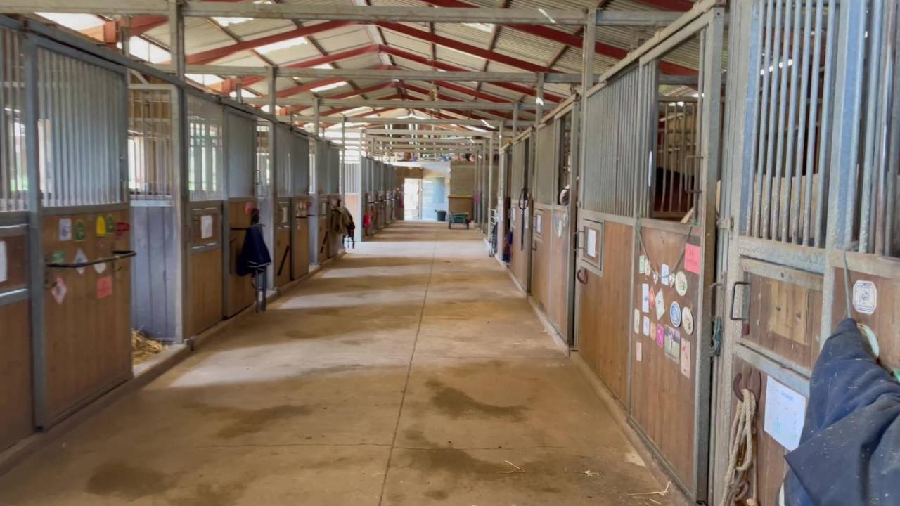 Propiedad ecuestre En venta Dordoña