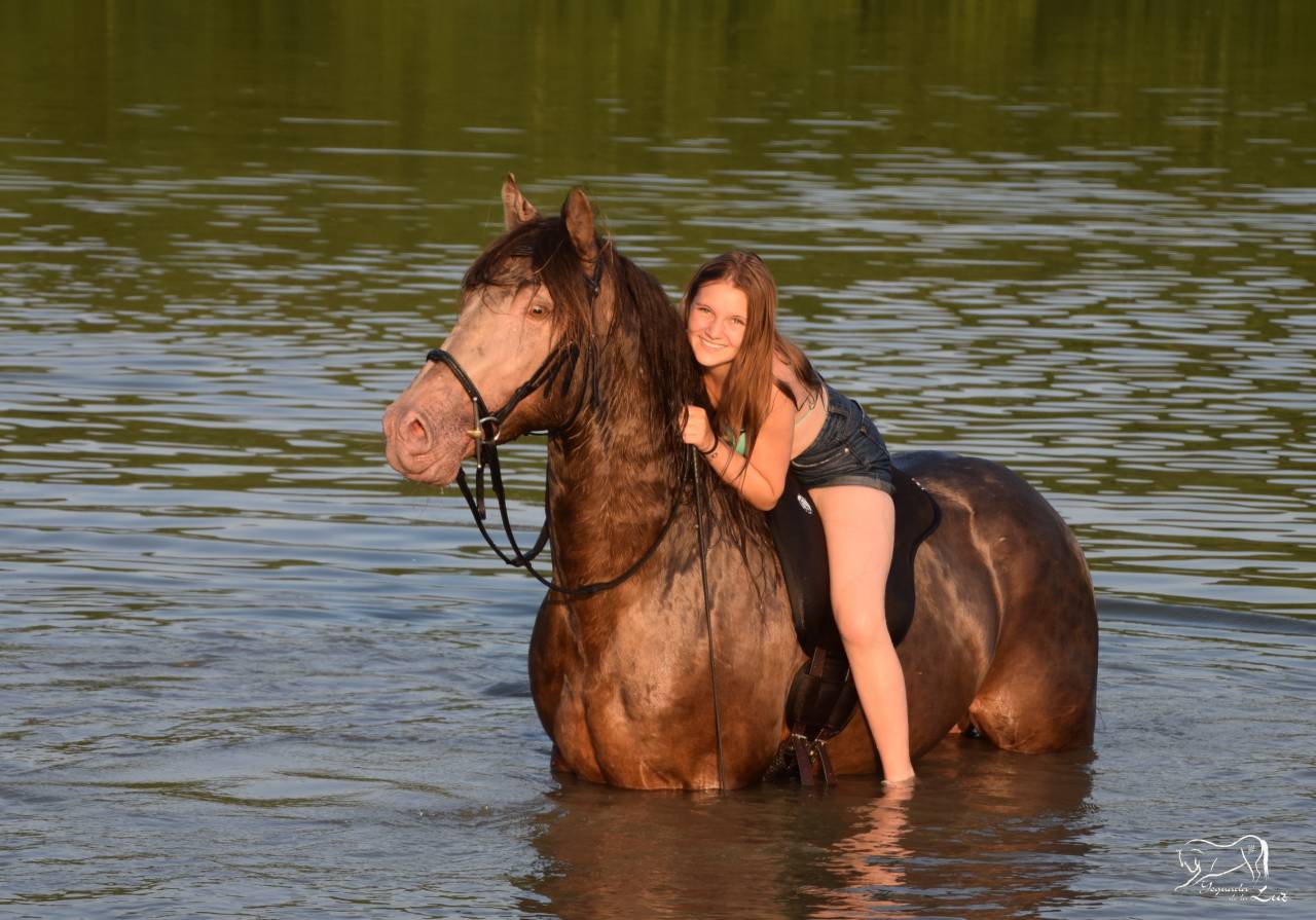 Semental Quarter Horse En venta 2016 Champagne