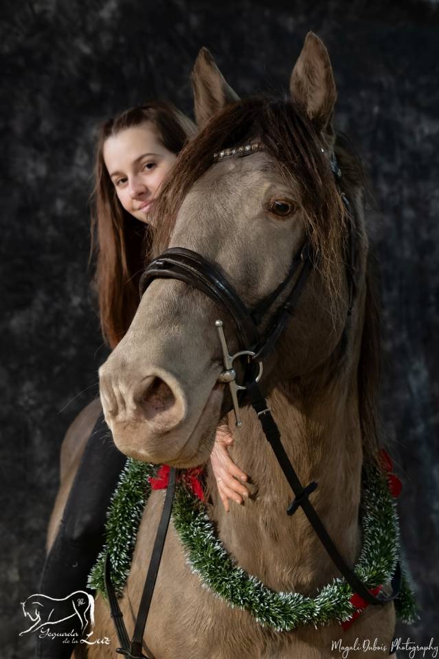 Semental Quarter Horse En venta 2016 Champagne