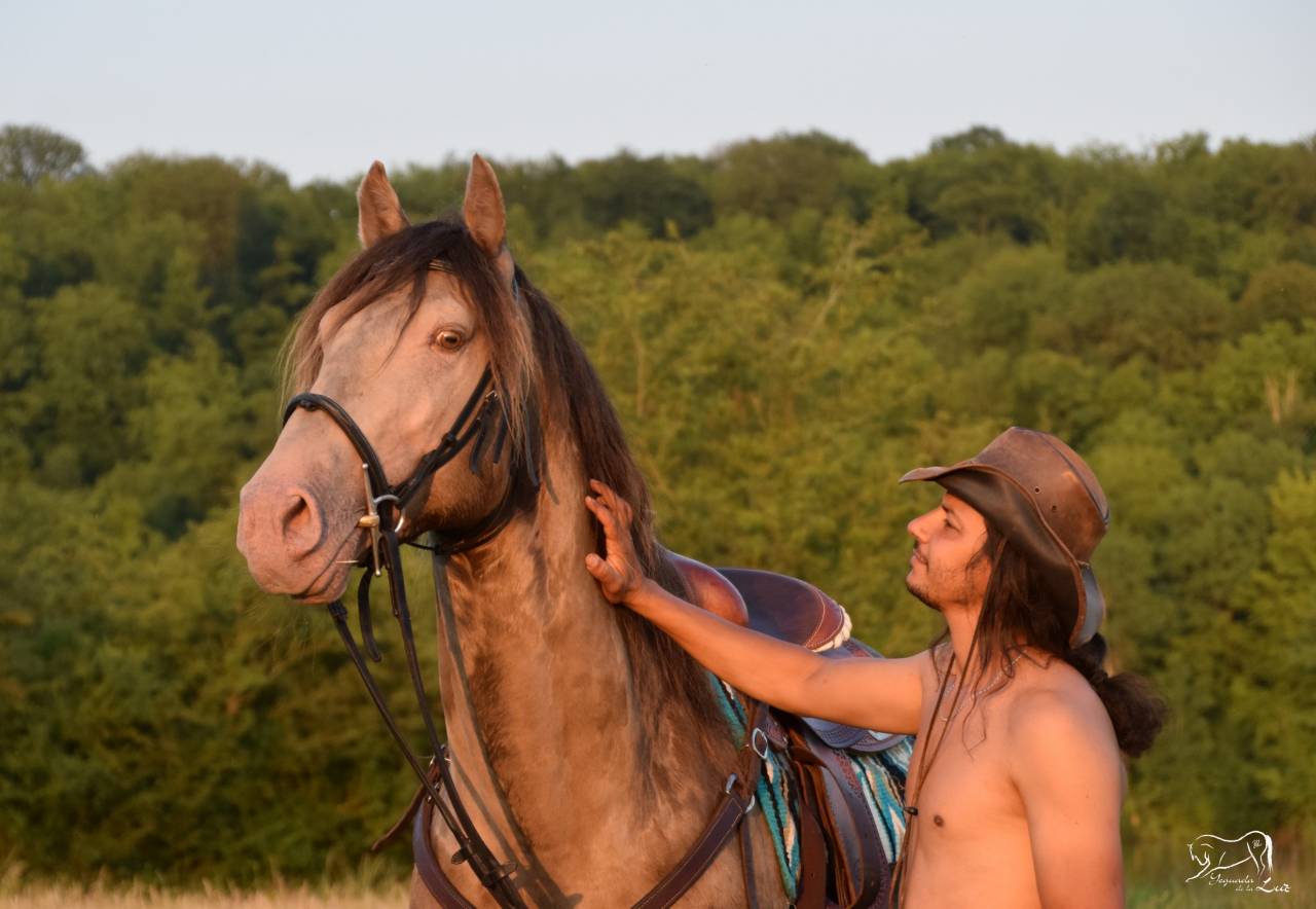 Semental Quarter Horse En venta 2016 Champagne