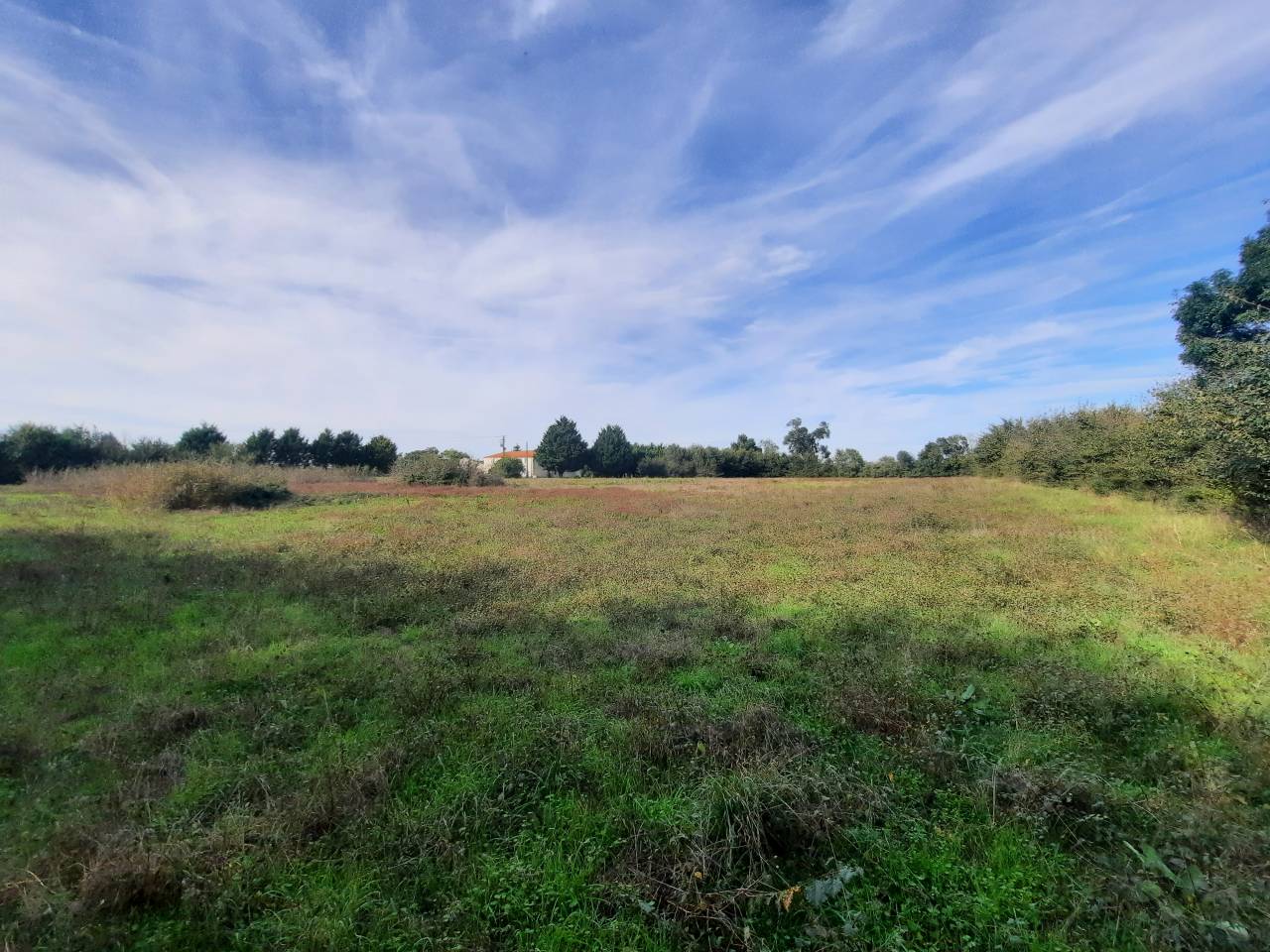 Bonita residencia ecuestre En venta Charente Marítimo