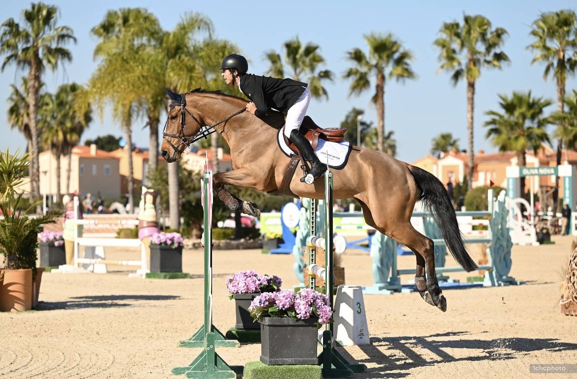 Yegua Silla Francés En venta 2012 Bayo por EPSOM GESMERAY