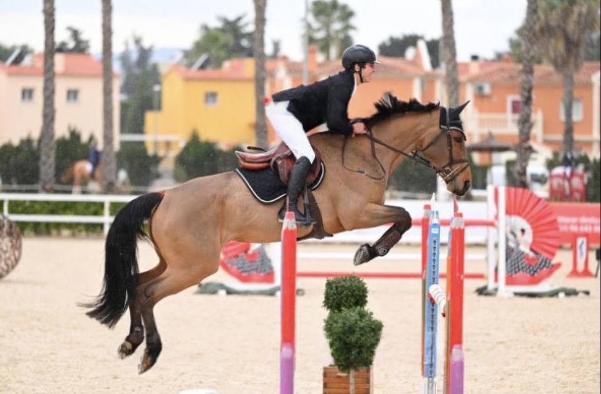 Yegua Silla Francés En venta 2012 Bayo por EPSOM GESMERAY