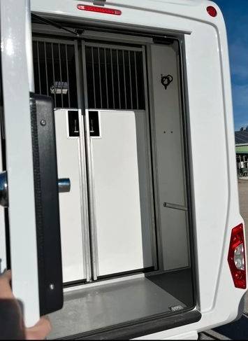 Furgoneta para caballos STX STX double cabine 2022 De segunda mano