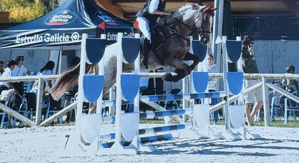 Caballo cruzado 7 años