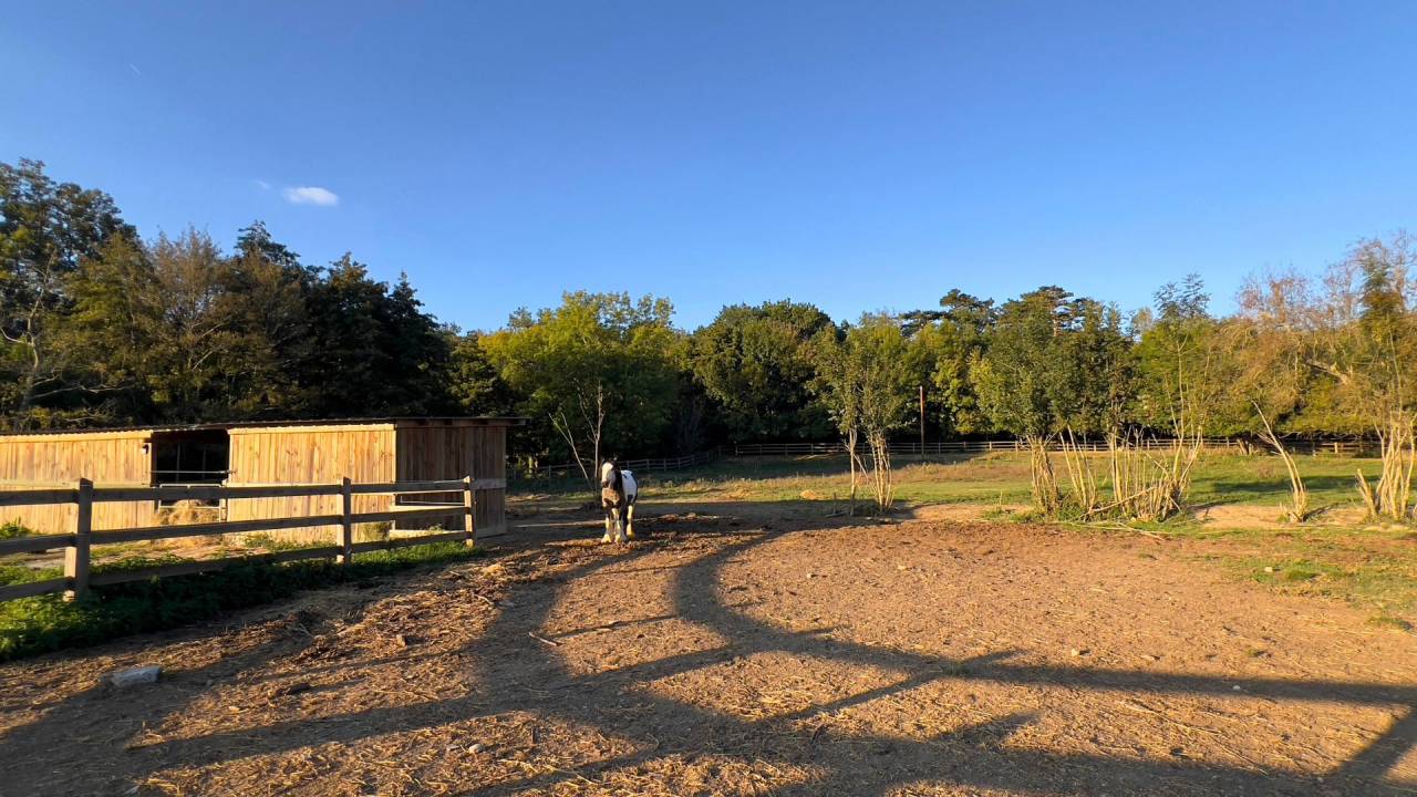 Bonita residencia ecuestre En venta Alto Garona