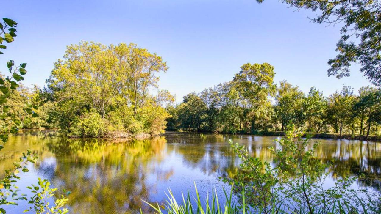 Bonita residencia ecuestre En venta Alto Garona