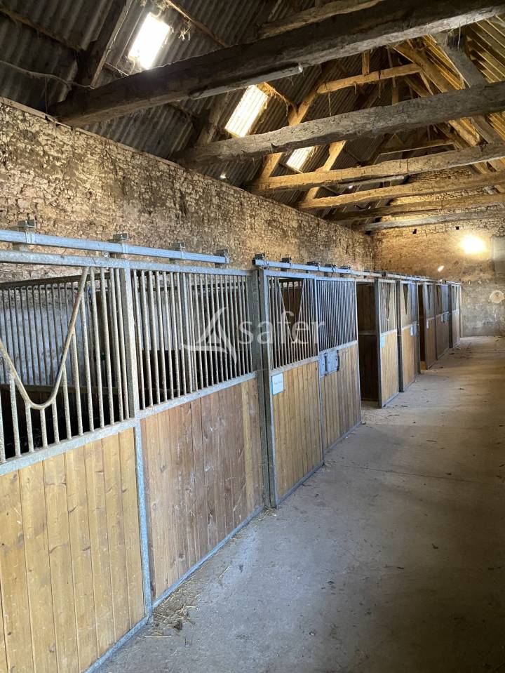 Propiedad ecuestre En venta Orne