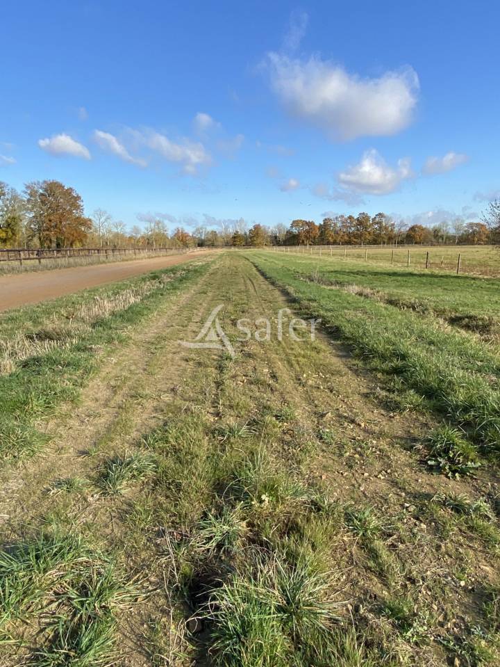 Propiedad ecuestre En venta Orne