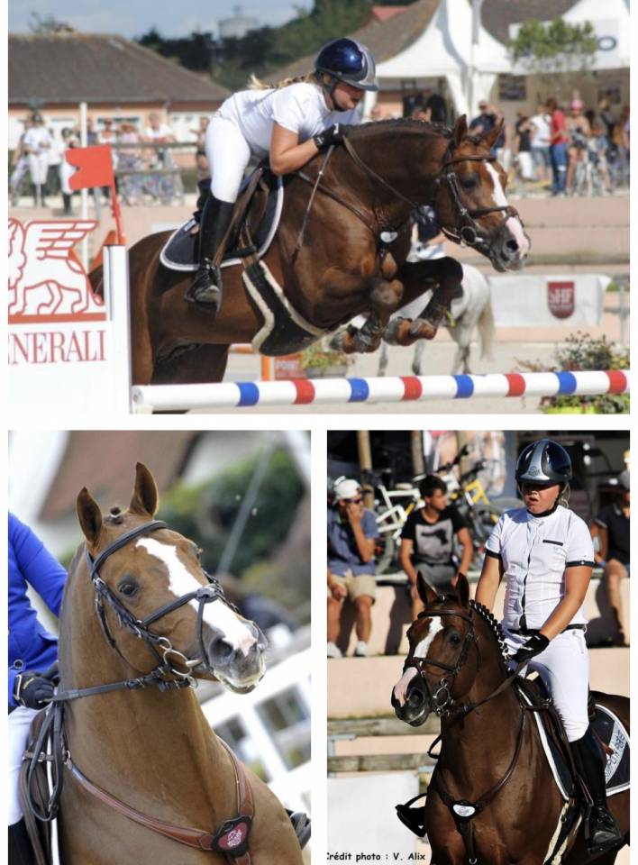 Potranca Origine Constatée En venta 2025 Bayo por ETASUNI des COLLIERES