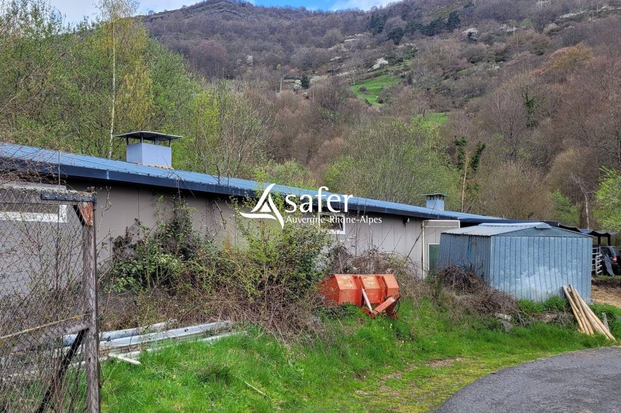 Explotación agrícola En venta Cantal