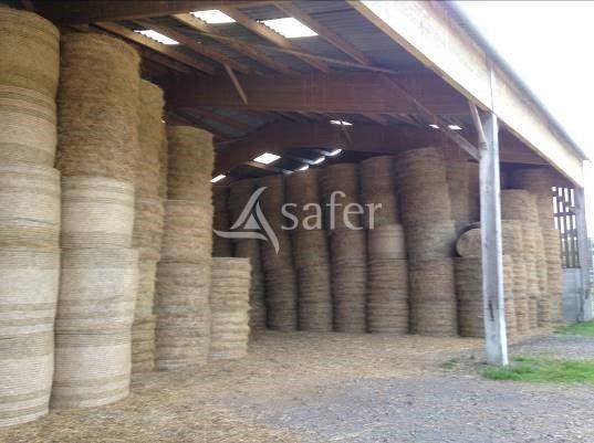 Explotación agrícola En venta Orne