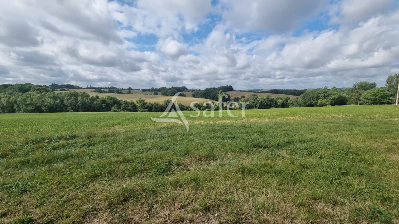 Explotación agrícola En venta Gers