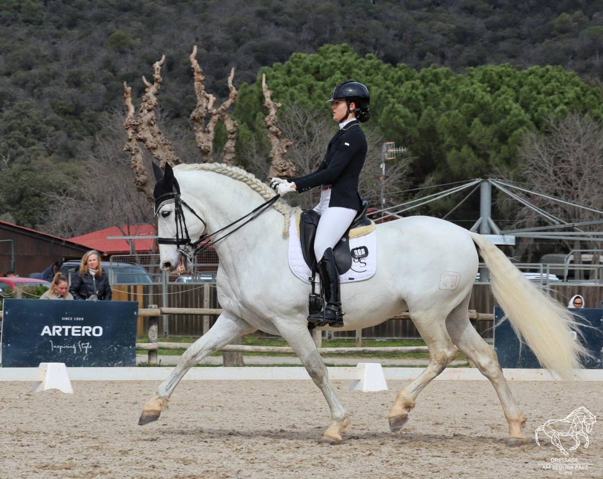 Caballo PRE de Doma Clásica