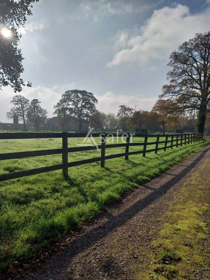 Propiedad ecuestre En venta Loira Atlántico