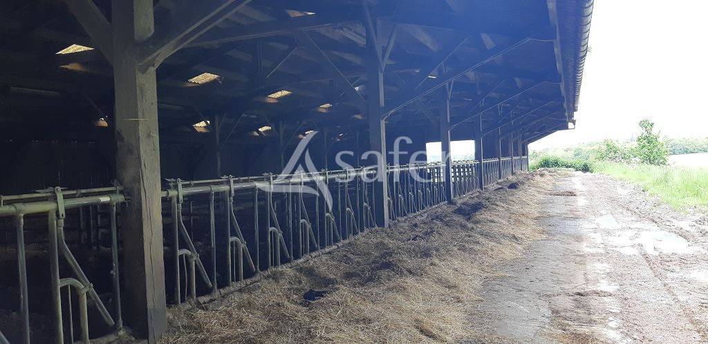 Explotación ovina En venta Alto Vienne