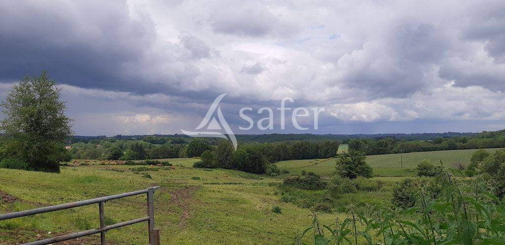 Explotación ovina En venta Alto Vienne