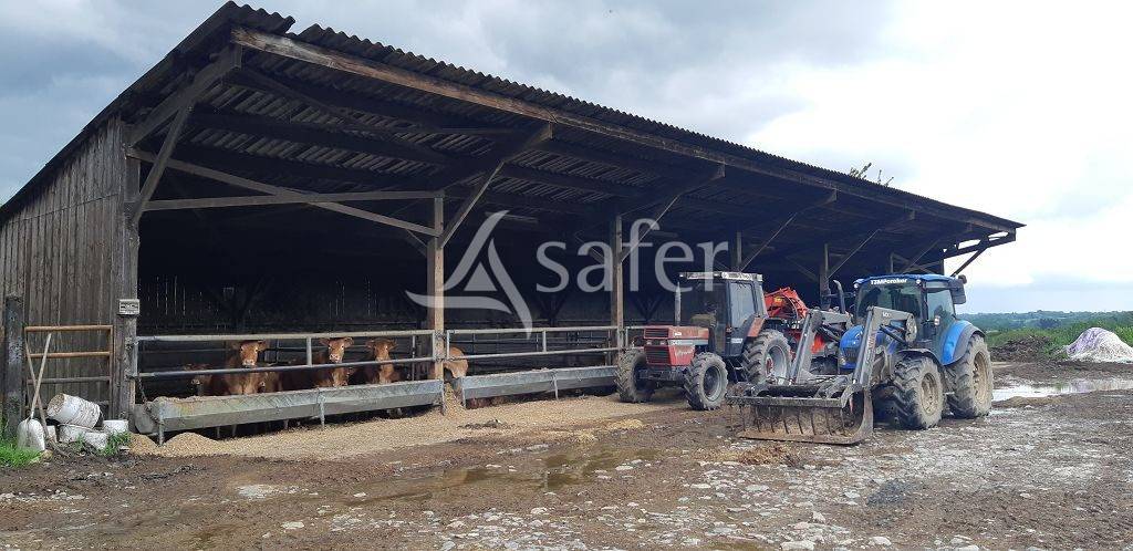 Explotación ovina En venta Alto Vienne