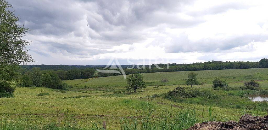 Explotación ovina En venta Alto Vienne