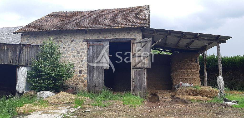 Explotación ovina En venta Alto Vienne