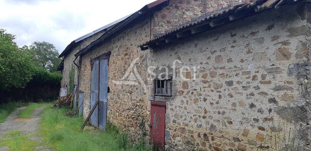 Explotación ovina En venta Alto Vienne