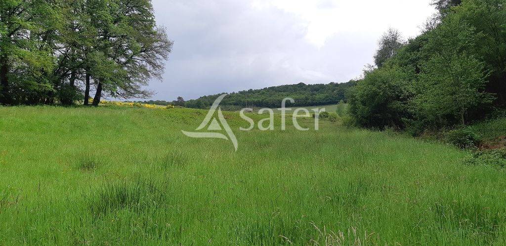 Explotación ovina En venta Alto Vienne