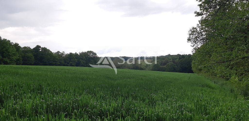 Explotación ovina En venta Alto Vienne