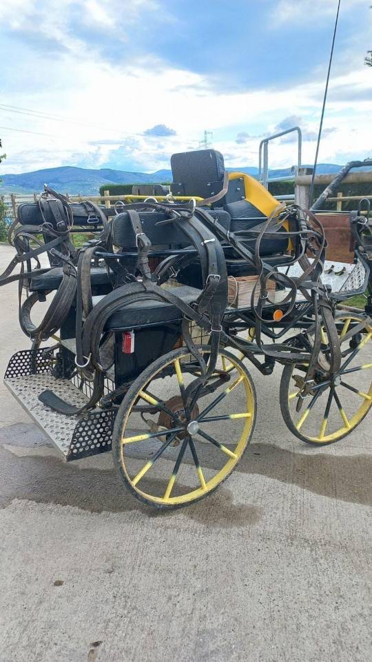 Coche enganches - Maratón ocio   