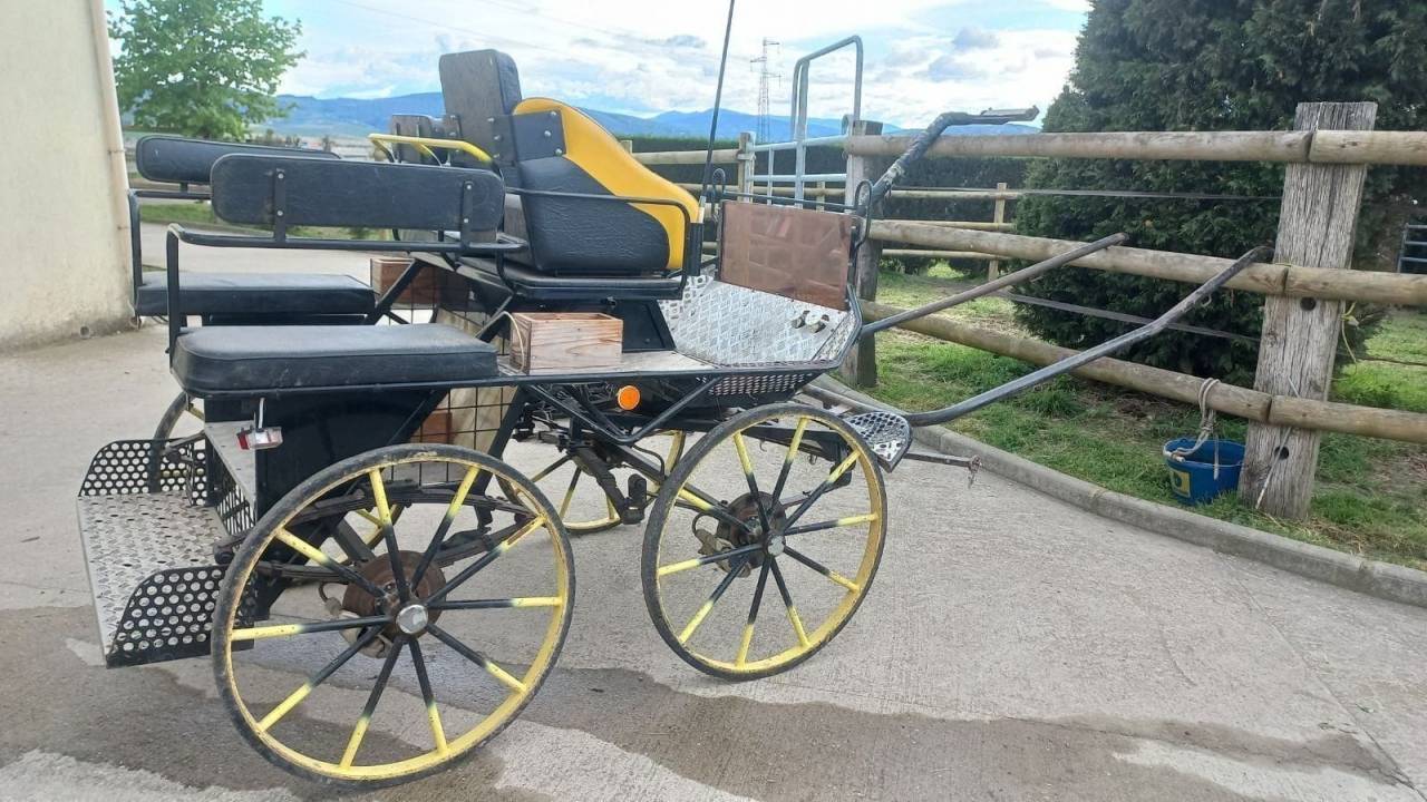 Coche enganches - Maratón ocio   