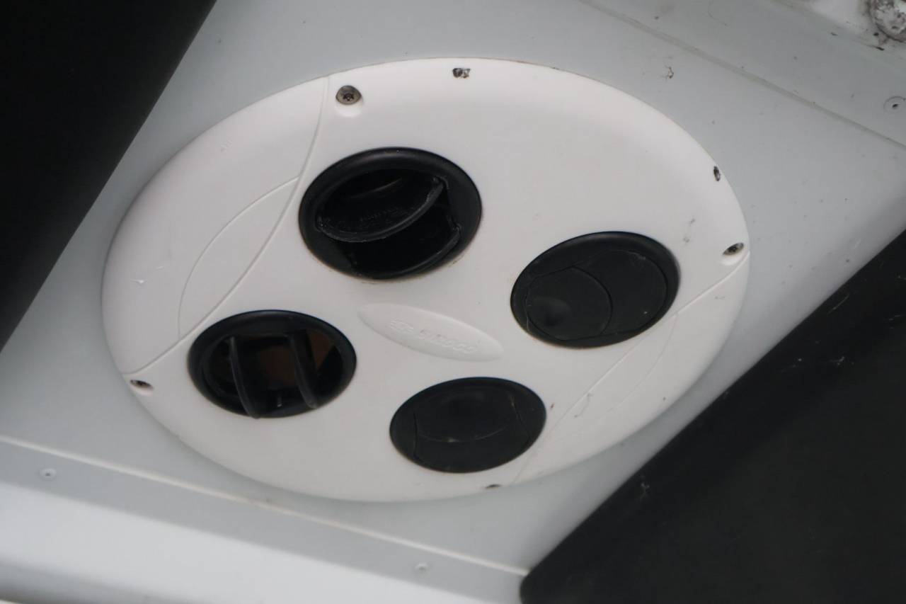 Furgoneta para caballos Theault MASTER PROTEO SWITCH 2019 De segunda mano