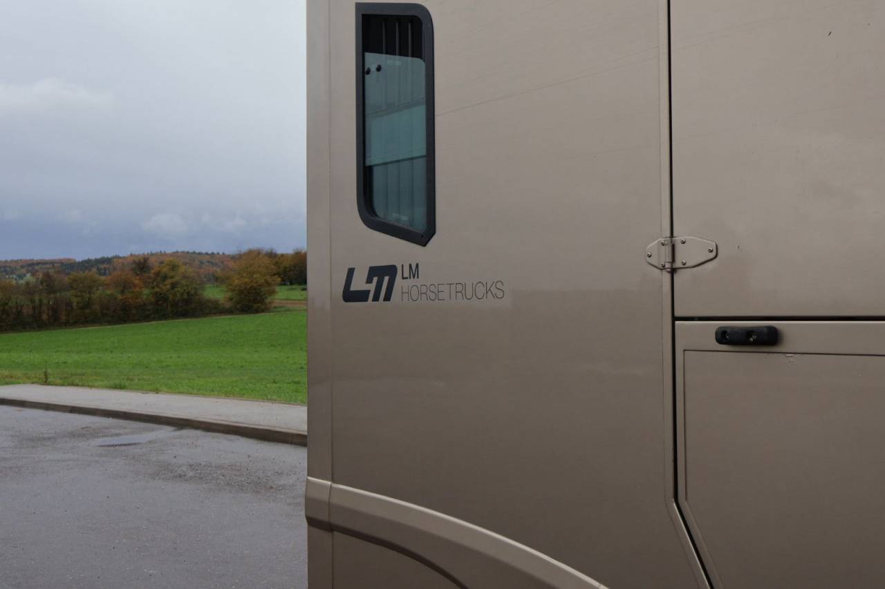 Furgoneta para caballos Theault MASTER PROTEO SWITCH 2019 De segunda mano