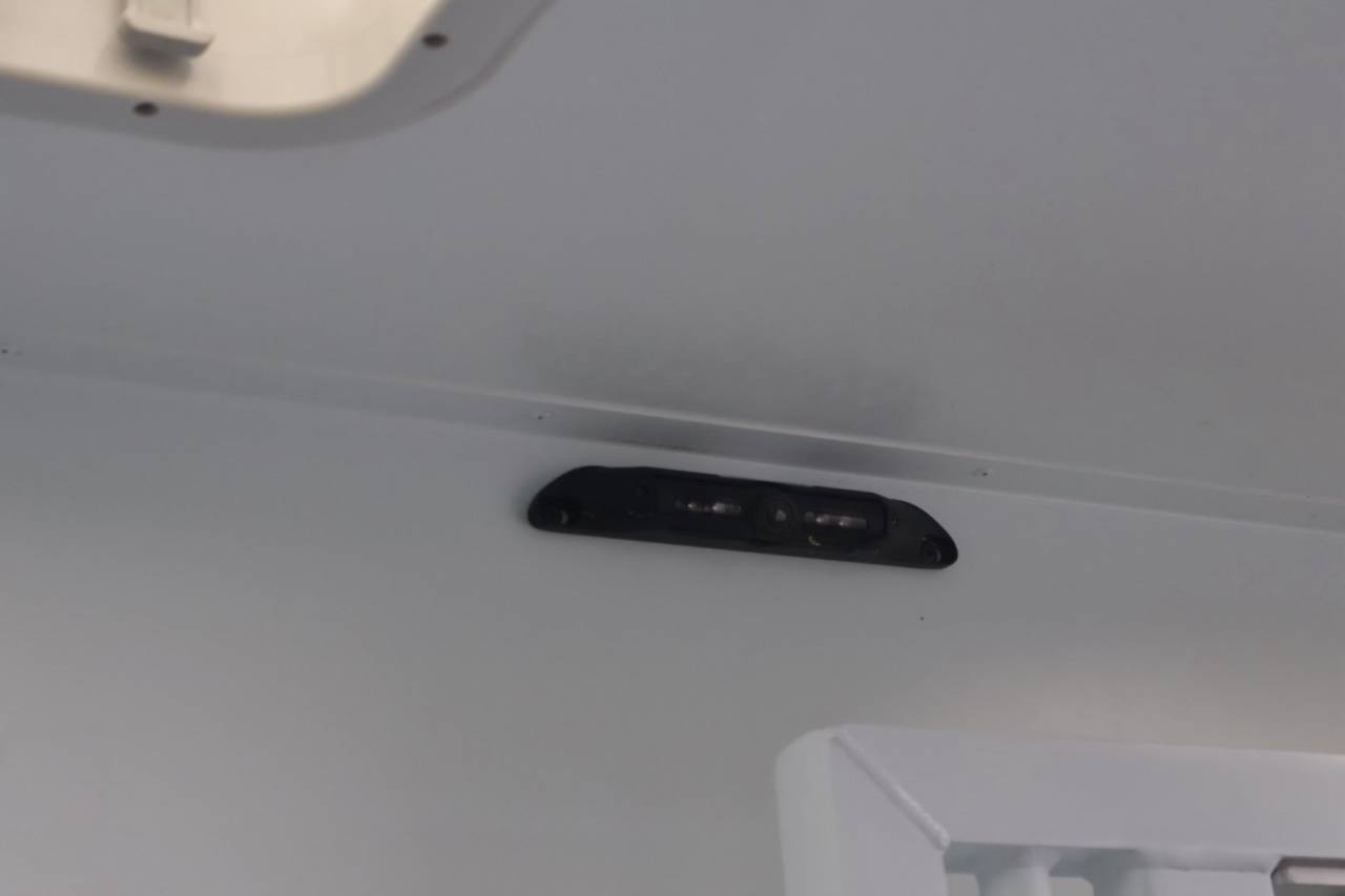 Furgoneta para caballos Theault MASTER PROTEO SWITCH 2019 De segunda mano