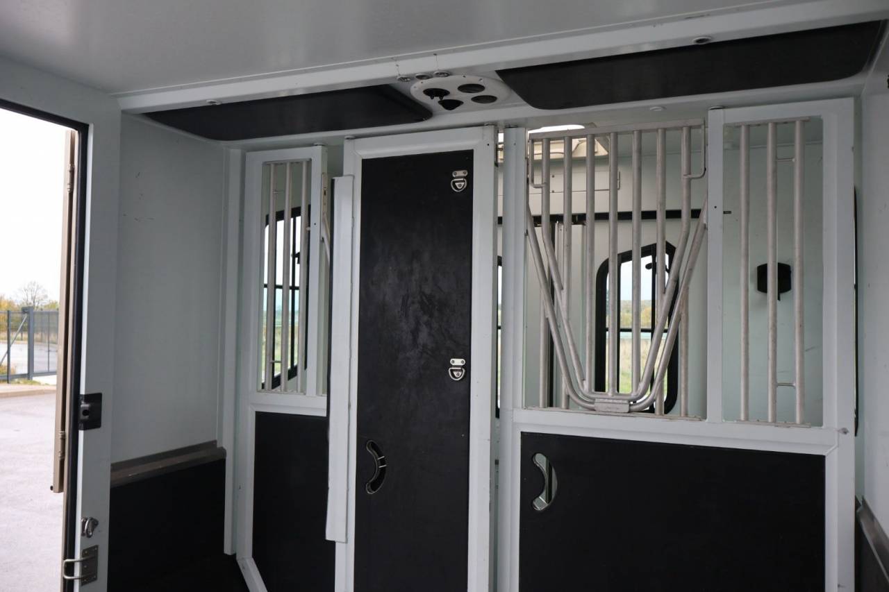 Furgoneta para caballos Theault MASTER PROTEO SWITCH 2019 De segunda mano