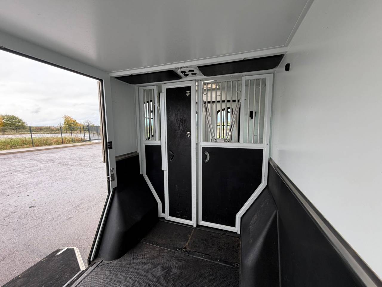 Furgoneta para caballos Theault MASTER PROTEO SWITCH 2019 De segunda mano