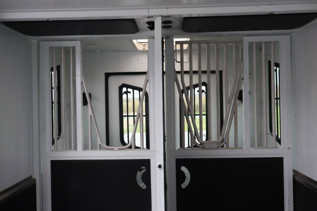 Furgoneta para caballos Theault MASTER PROTEO SWITCH 2019 De segunda mano