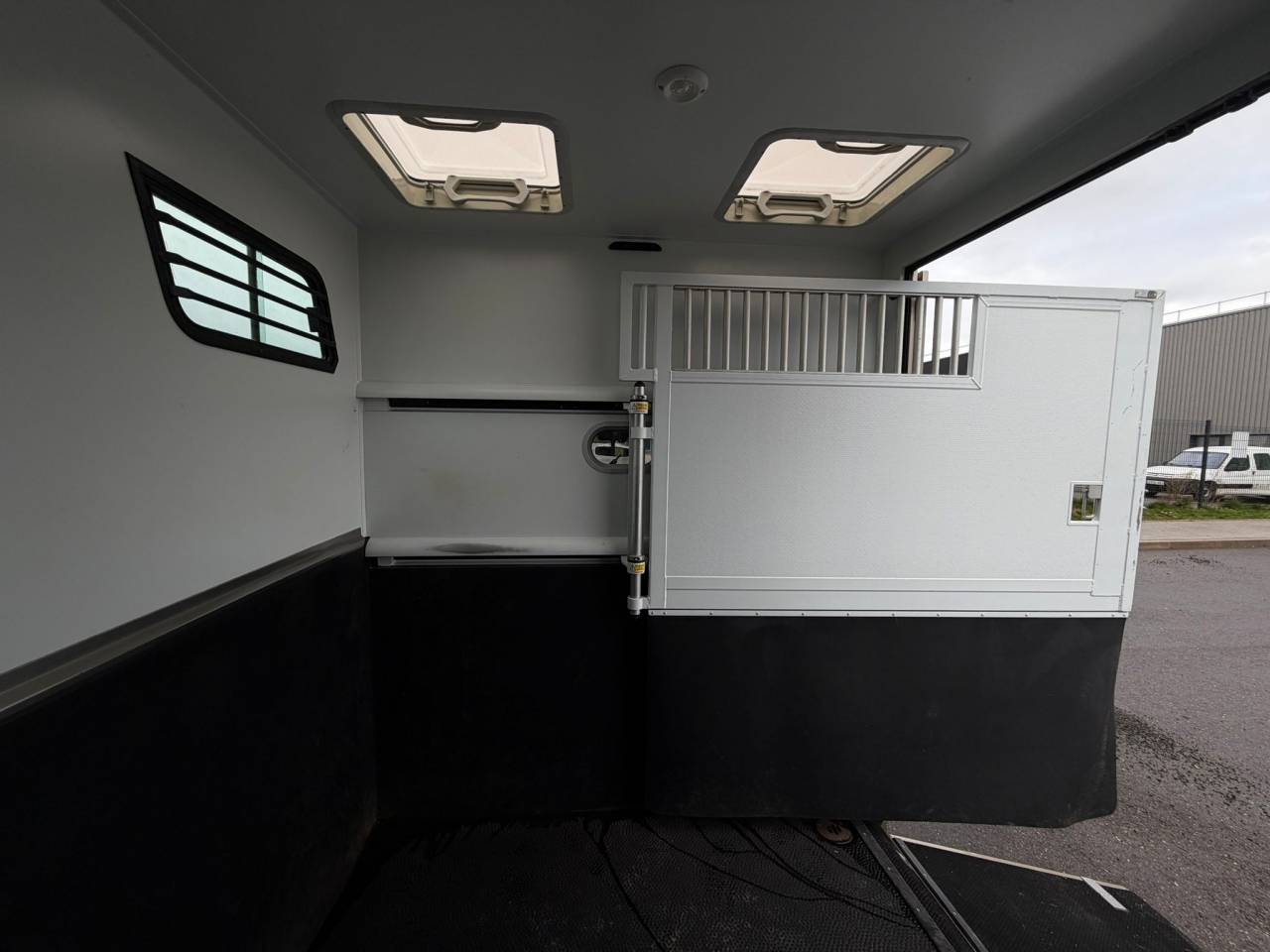 Furgoneta para caballos Theault MASTER PROTEO SWITCH 2019 De segunda mano