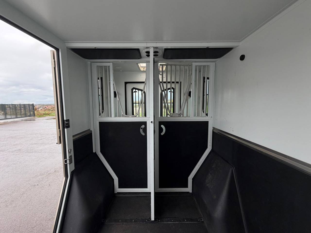 Furgoneta para caballos Theault MASTER PROTEO SWITCH 2019 De segunda mano