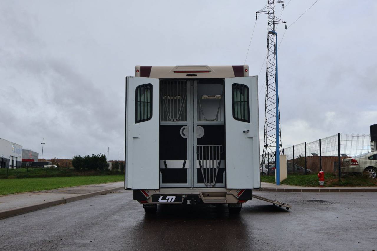 Furgoneta para caballos Theault MASTER PROTEO SWITCH 2019 De segunda mano