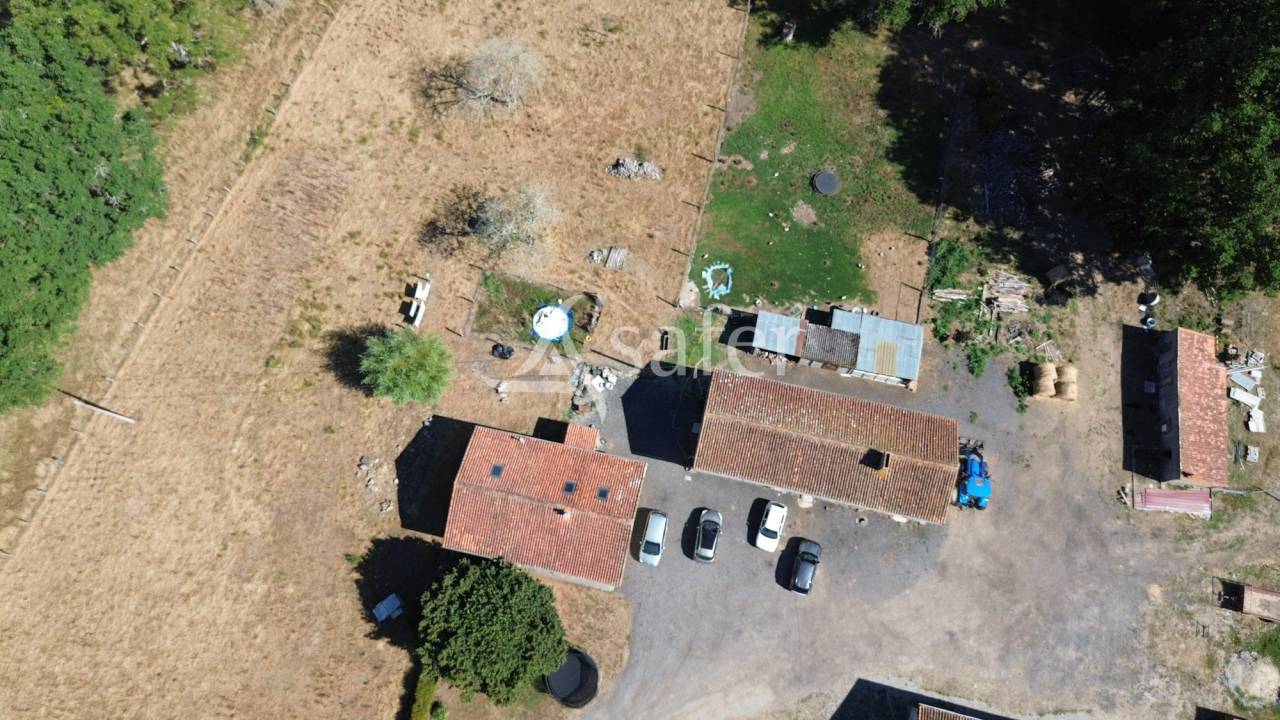 Explotación ovina En venta Charente