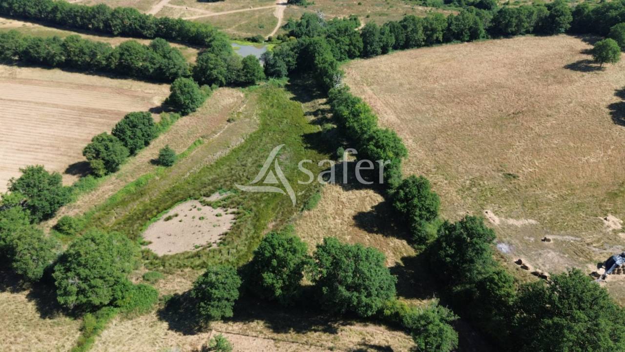 Explotación ovina En venta Charente