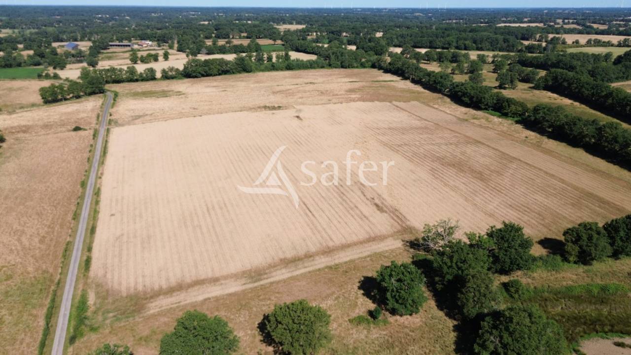 Explotación ovina En venta Charente